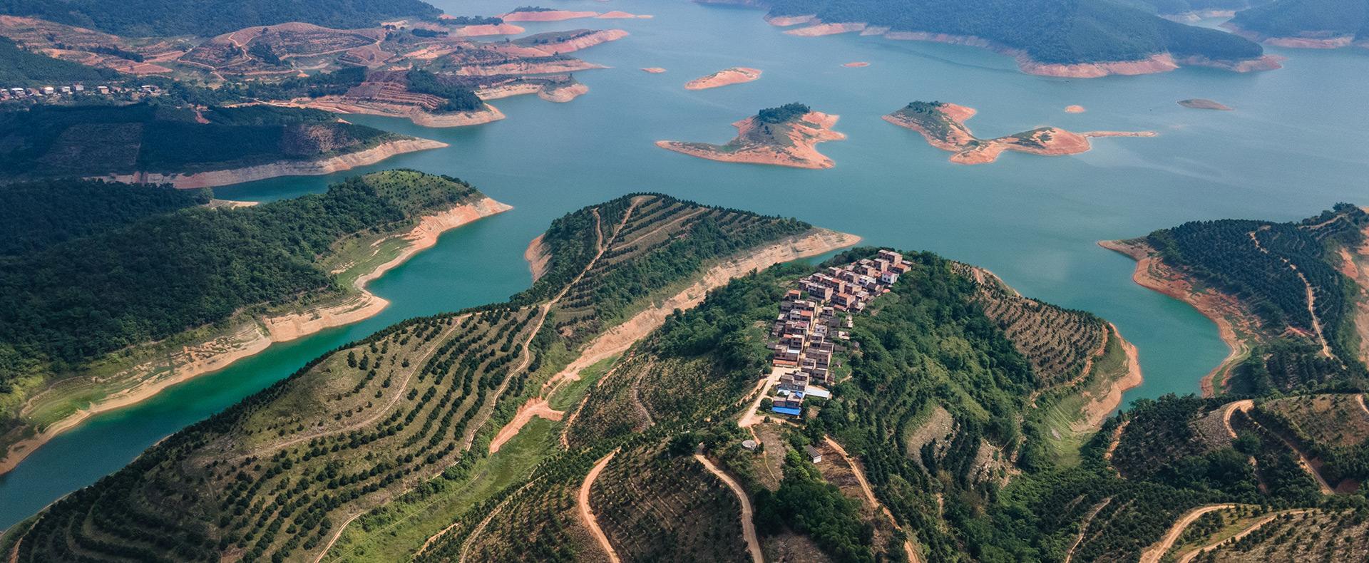 爱游戏APP广西百色坚果原料种植基地